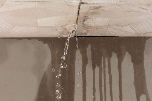 Professional Water Extraction technician working in Deerfield, MI